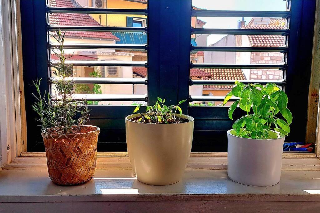 Apartman Ora, On The Sea. *